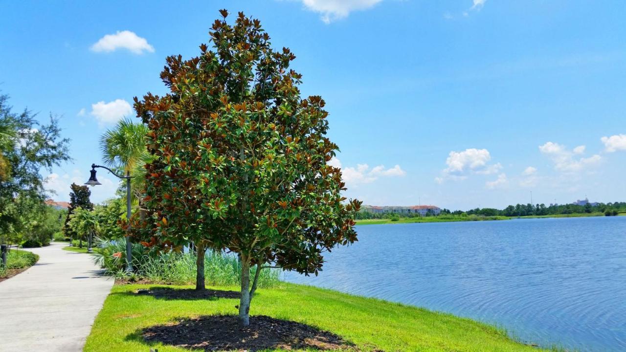 Top-Floor Luxurious Lakeview Condo Orlando Eksteriør bilde